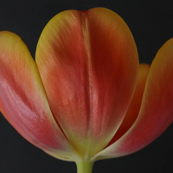 博彩网站棋牌游戏